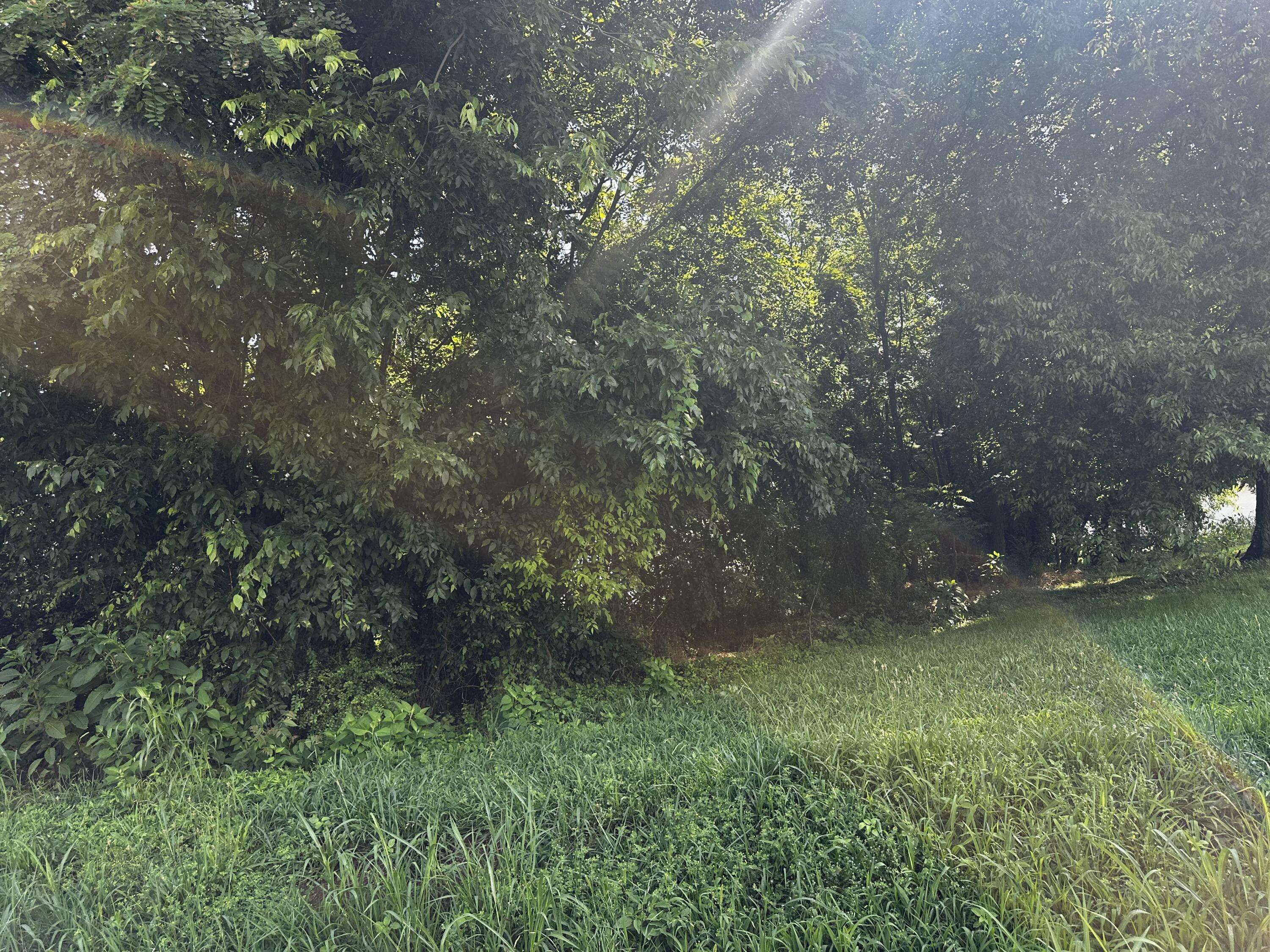 Whitesburg, TN 37891,349 Hyatt LN