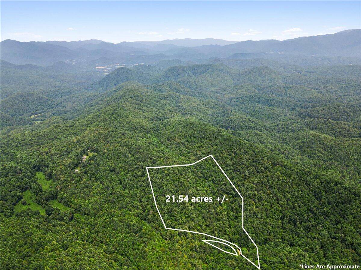 2266 Sol Mountain Rd RD, Del Rio, TN 37727