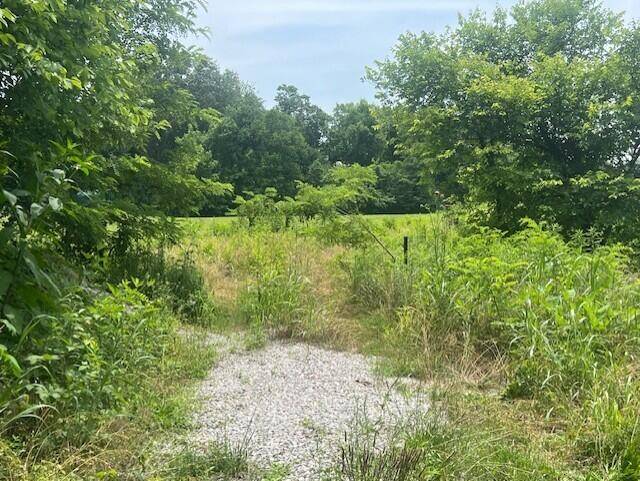 New Market, TN 37820,Lot 14R2 Pleasant View Cemetery RD