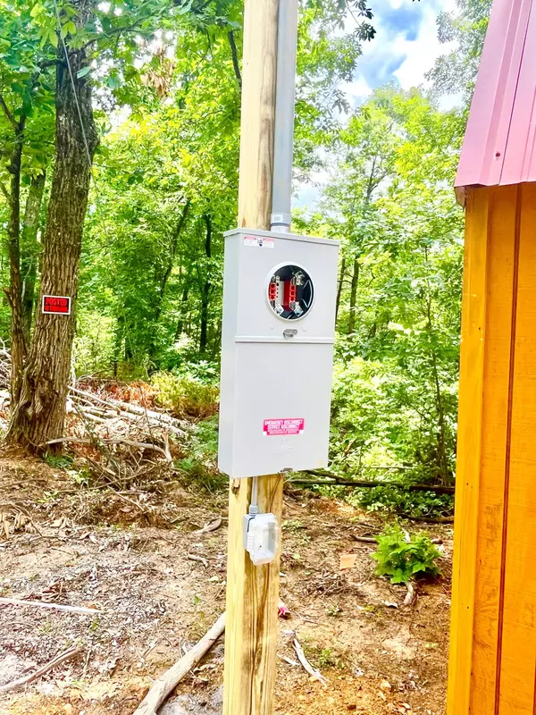 Sevierville, TN 37876,1242 Sourwood Honey Dr DR