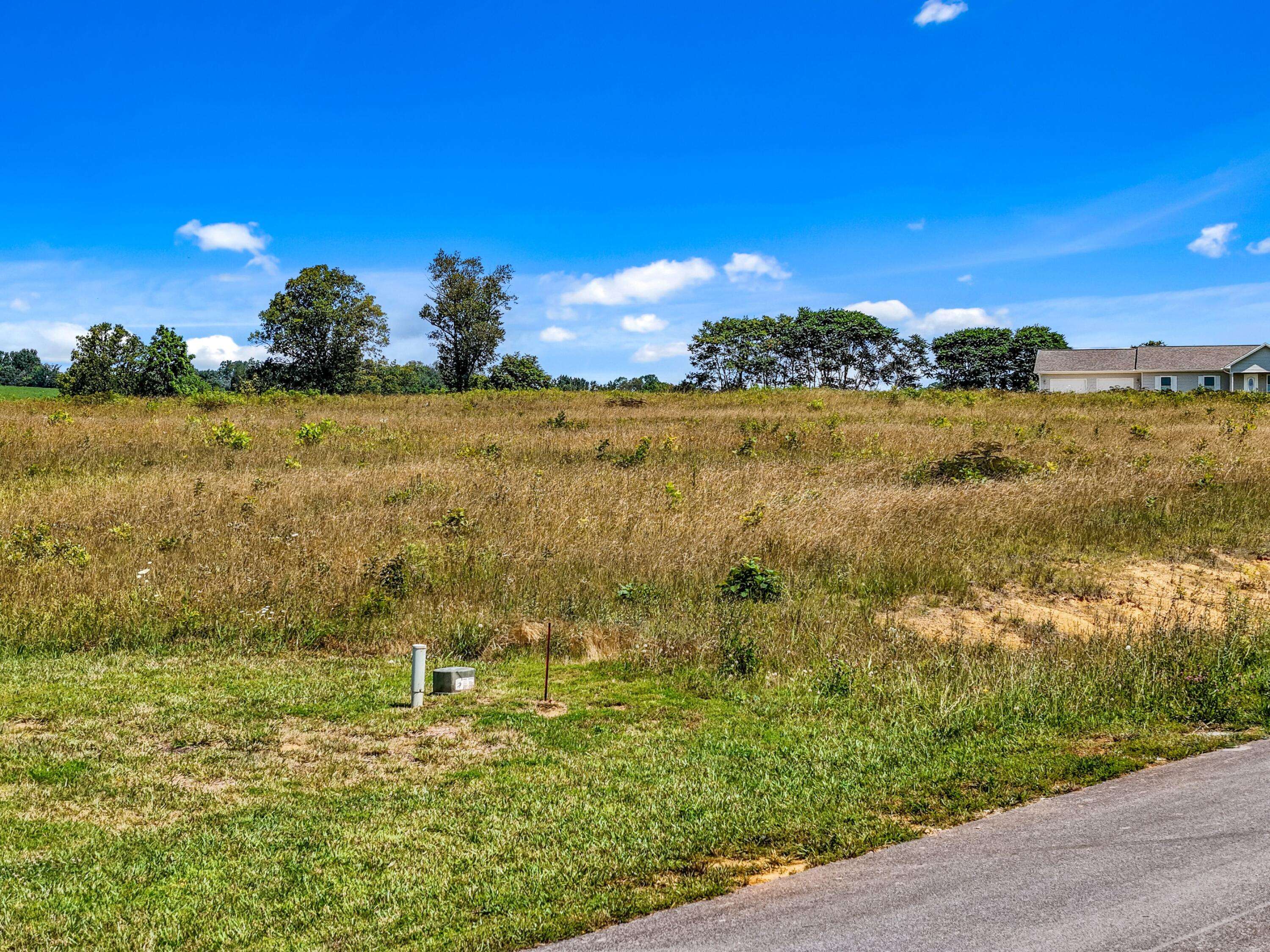 Whitesburg, TN 37891,LOT 50 SHIRLEY DRIVE
