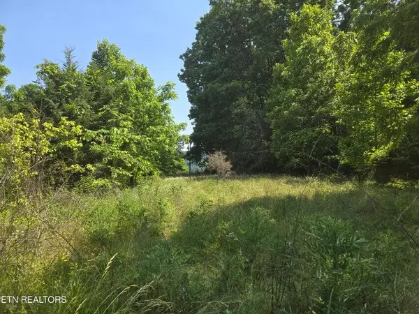 Sneedville, TN 37869,TBD Union Church Rd DM