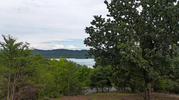 Bean Station, TN 37708,Lots 56/53 Bayside Subdivision