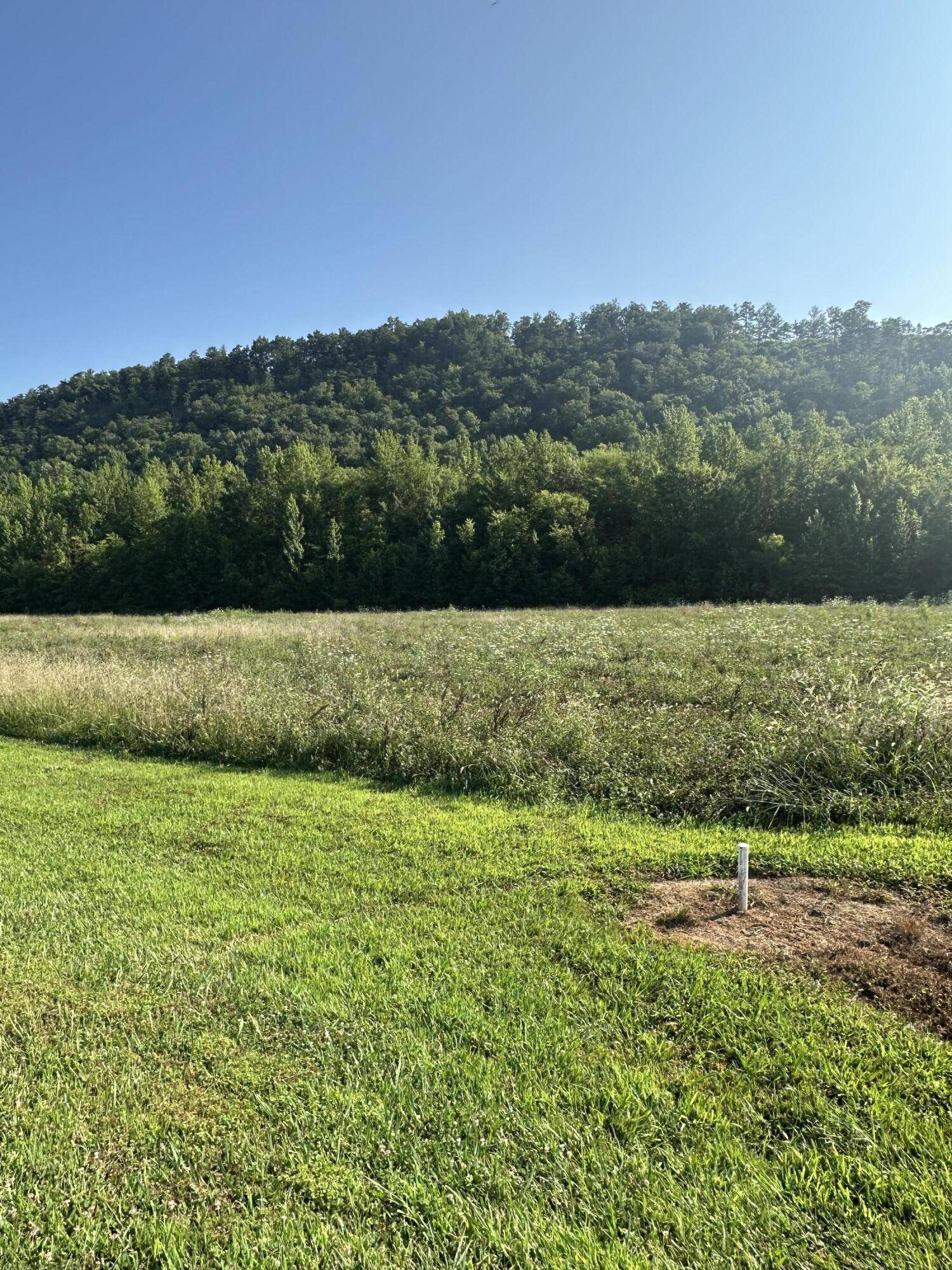 lot 147 River Rapids WAY, Del Rio, TN 37727