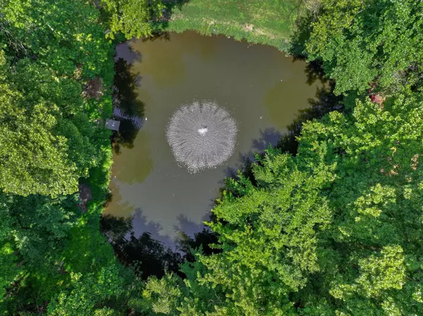 Baneberry, TN 37890,239 Back Nine DR