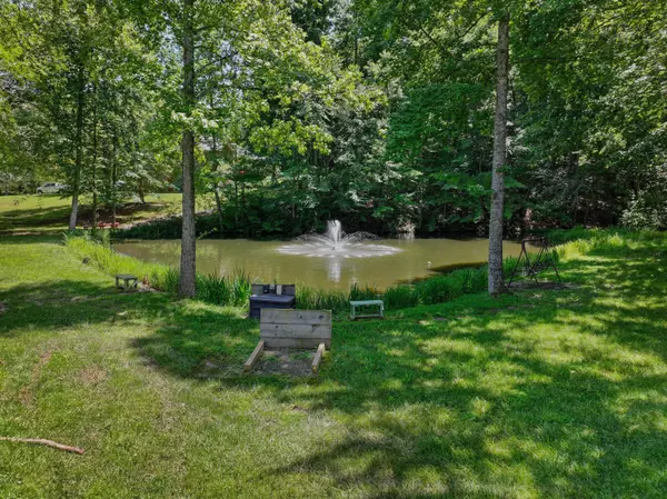 Baneberry, TN 37890,239 Back Nine DR