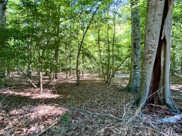 Dandridge, TN 37725,Lot 20 Plantation Point DR