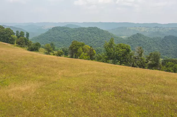 Eidson, TN 37731,Lots 18-20 Big Springs RD