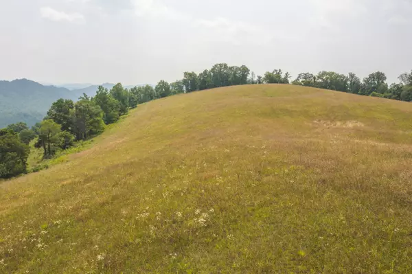 Eidson, TN 37731,Lots 18-20 Big Springs RD