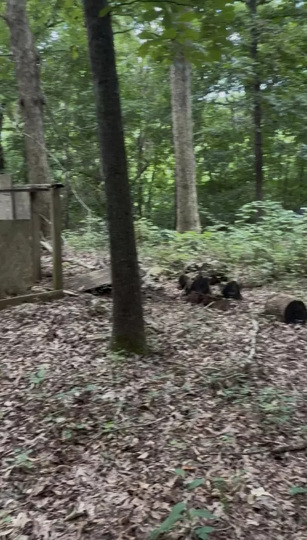 Blaine, TN 37709,0 Collins RD