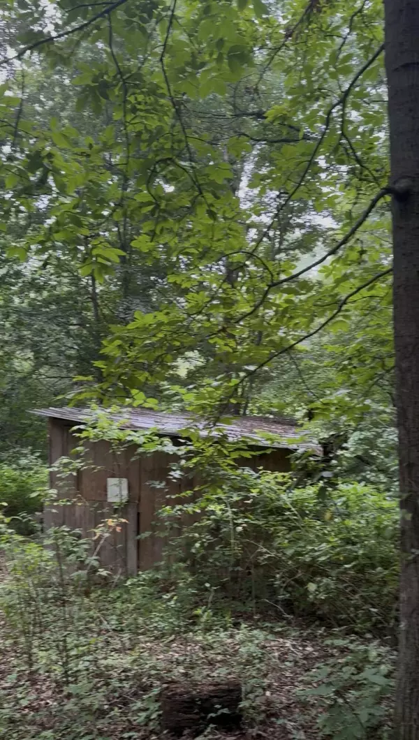 Blaine, TN 37709,0 Collins RD