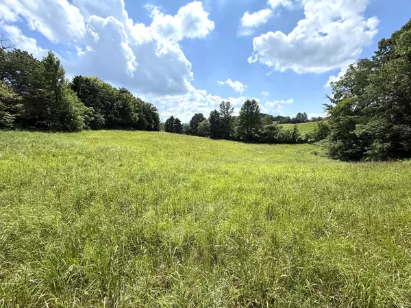 Parrottsville, TN 37843,1461 Ponderosa RD