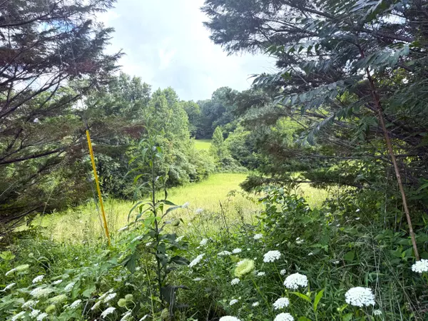 Parrottsville, TN 37843,1461 Ponderosa RD