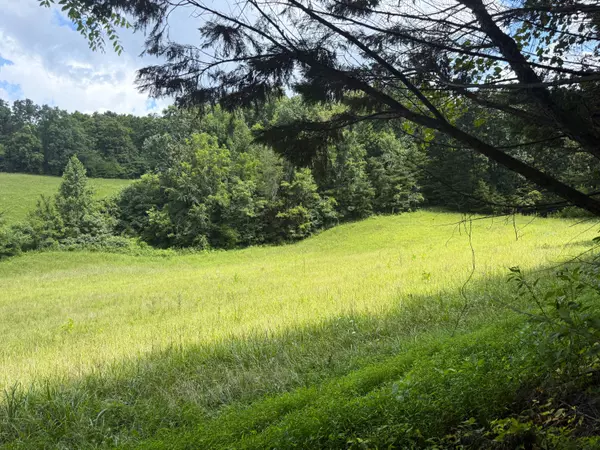 1461 Ponderosa RD, Parrottsville, TN 37843