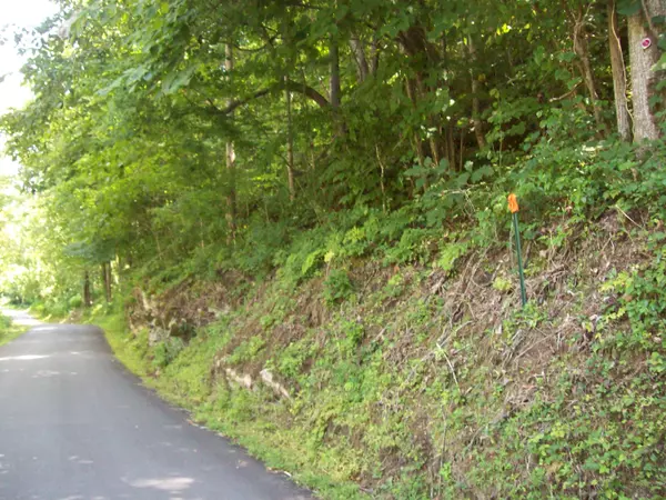 Eidson, TN 37731,3388 Horton Ford Road