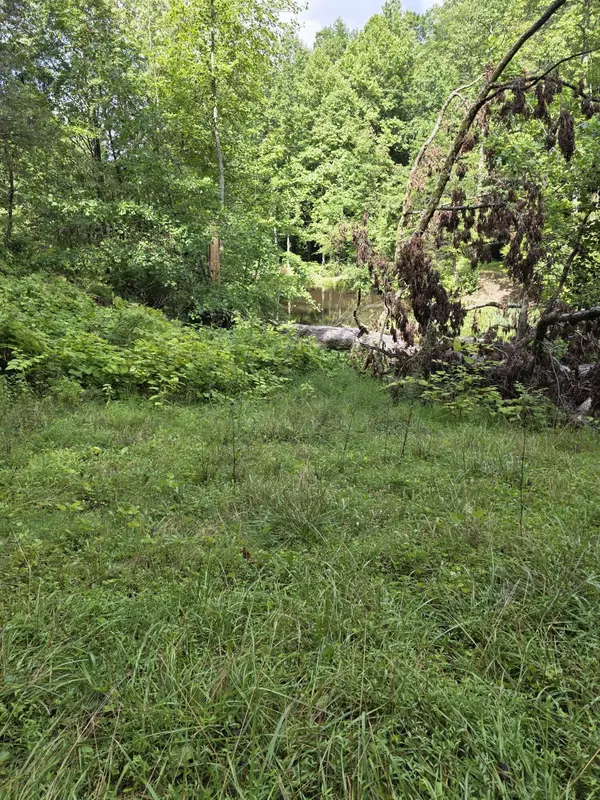 Speedwell, TN 37870,0 BUELL LN