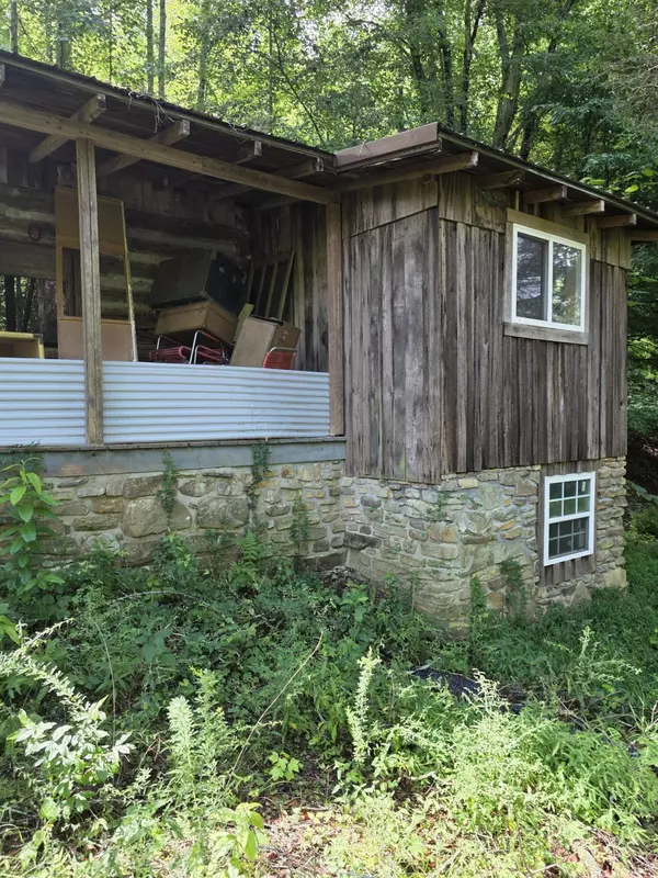 Speedwell, TN 37870,0 BUELL LN