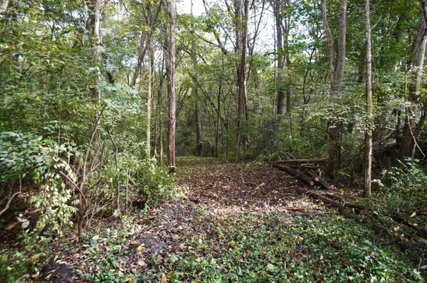 Strawberry Plains, TN 37871,Lots 14-15 West View DR