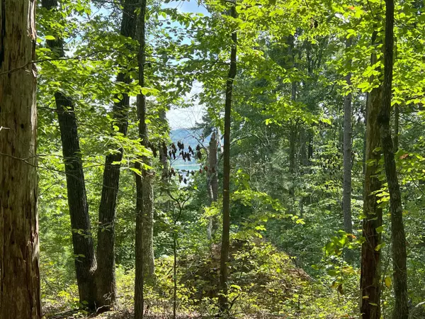 Bean Station, TN 37708,Lot 14 Bayside BLVD