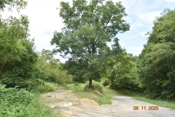 Whitesburg, TN 37891,2750 Mountain RD