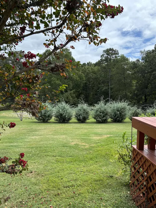 Baneberry, TN 37890,280 Back Nine DR