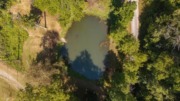 Bean Station, TN 37708,997 Miller Hollow RD