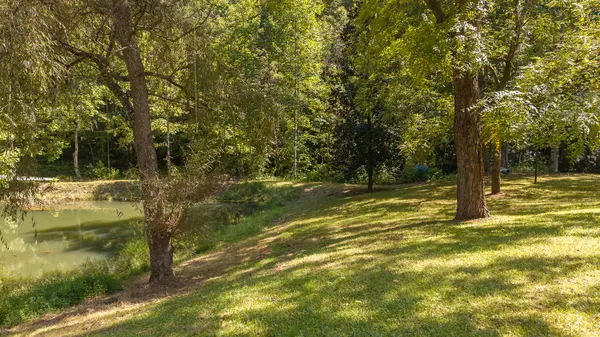 Bean Station, TN 37708,997 Miller Hollow RD