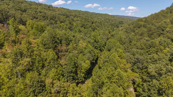 Bean Station, TN 37708,997 Miller Hollow RD