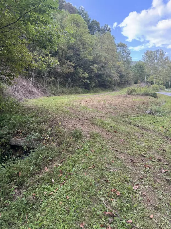587 Rock Hill RD, Kyles Ford, TN 37765