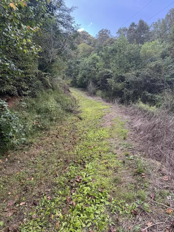 Kyles Ford, TN 37765,587 Rock Hill RD