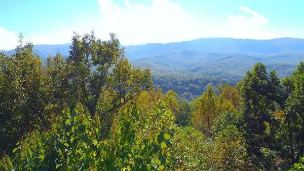 301 Matterhorn DR, Gatlinburg, TN 37738