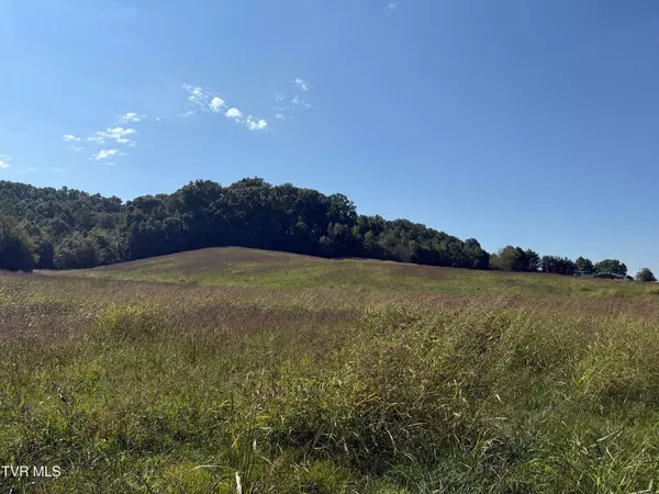 Chuckey, TN 37641,0 Old Snapps Ferry RD