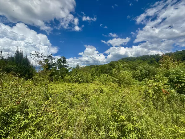 Greeneville, TN 37743,50/AC TBD Tarlton Circle