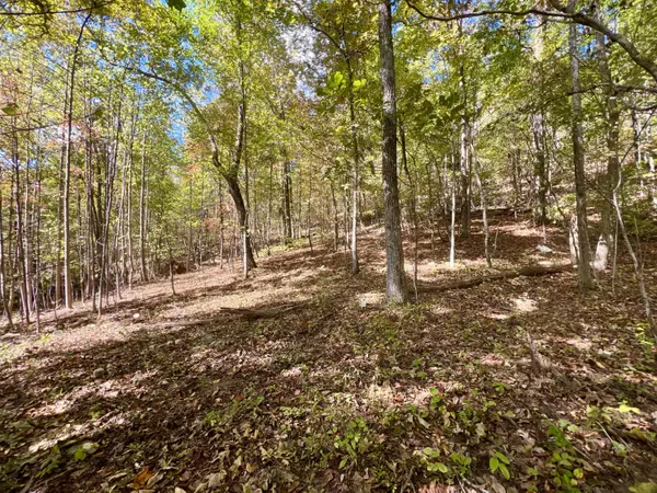 Surgoinsville, TN 37873,1393 Caney Valley LOOP