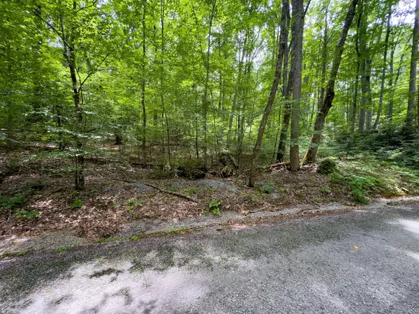 Cosby, TN 37722,000 Hopkins RD