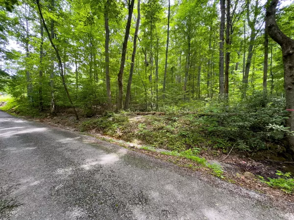 Cosby, TN 37722,000 Hopkins RD