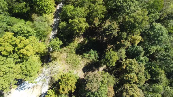 Bulls Gap, TN 37711,1ac McCullough LN