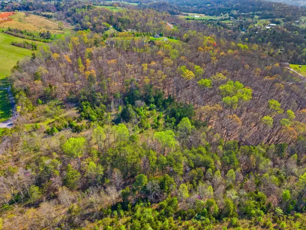 New Market, TN 37820,Tract 1 Dumplin Valley RD