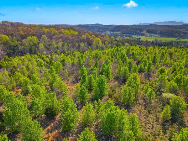 New Market, TN 37820,Tract 1 Dumplin Valley RD