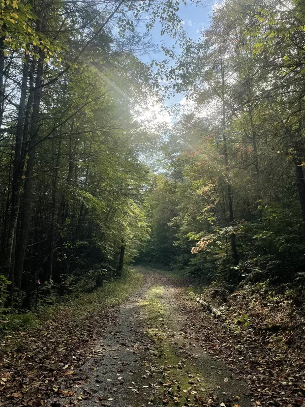 Greeneville, TN 37743,350 Viking Mountain Lane LN