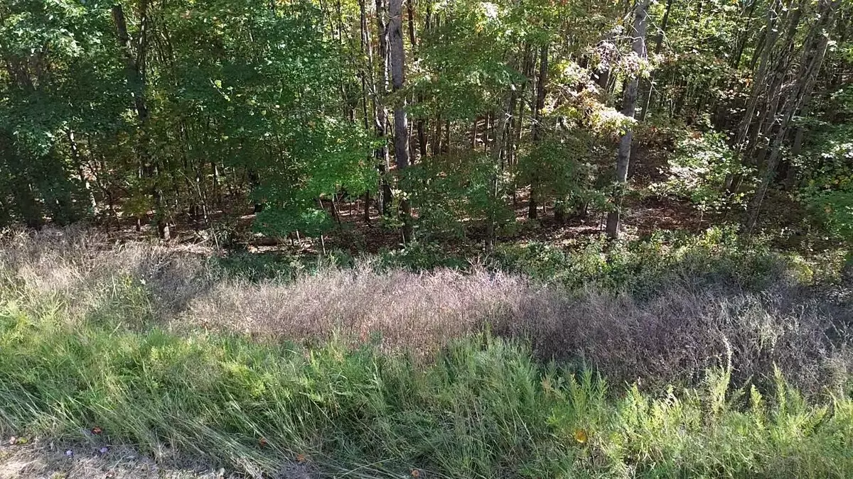 New Tazewell, TN 37825,lot 158 Whistle Valley Rd RD