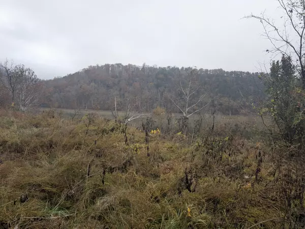 Tazewell, TN 37879,Lot # 9 Holiday LN