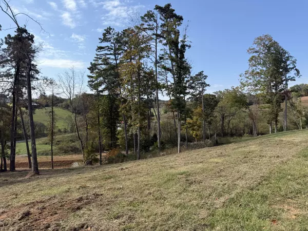 Morristown, TN 37814,Lot 289 Harbor WAY