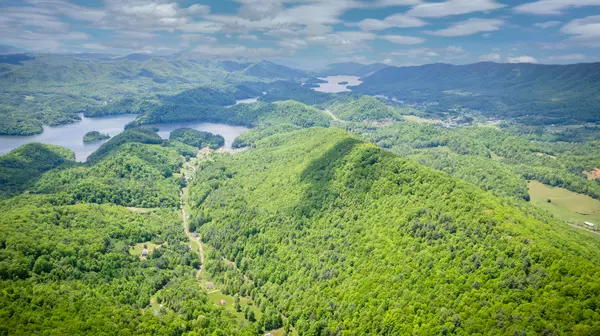 Butler, TN 37640,77/AC TBD Sink Valley RD