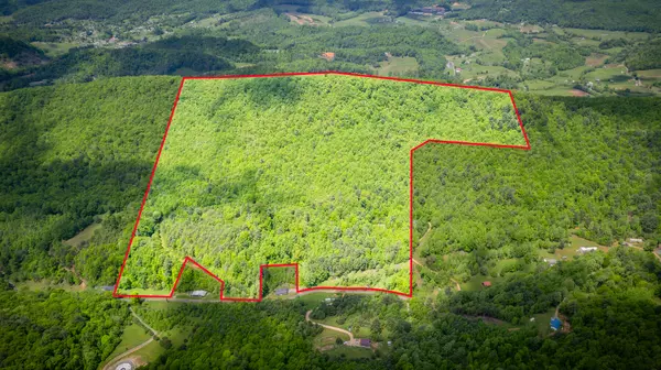 Butler, TN 37640,77/AC TBD Sink Valley RD