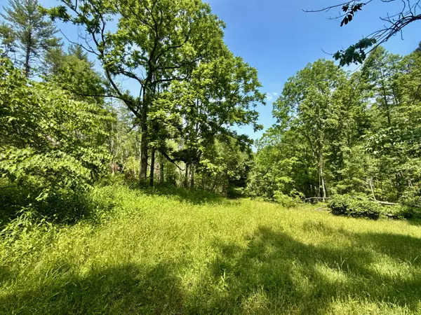 Mountain City, TN 37683,99/AC TBD Copperhead Hollow RD