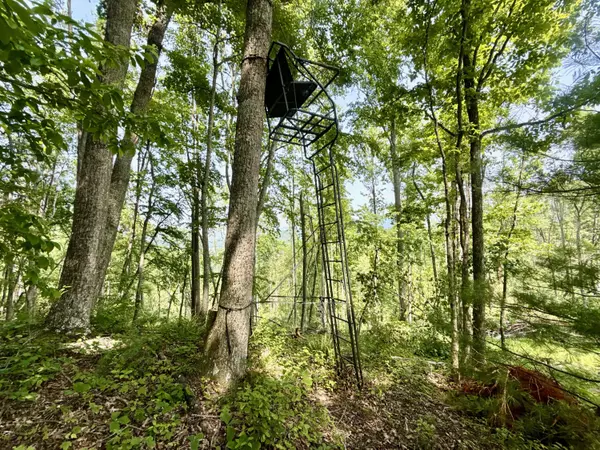 Mountain City, TN 37683,99/AC TBD Copperhead Hollow RD