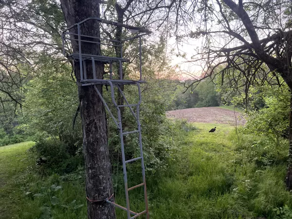 Mohawk, TN 37810,4045 Mohawk RD