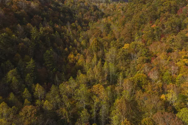 0 Livesay Chapel RD, Kyles Ford, TN 37765