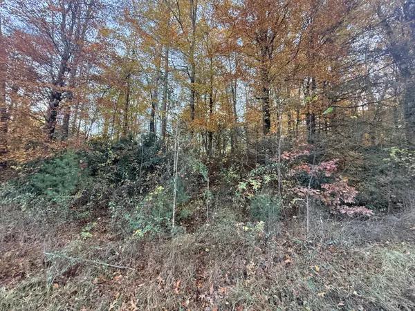 Lot 42/43 Deerfoot RD, Newport, TN 37821